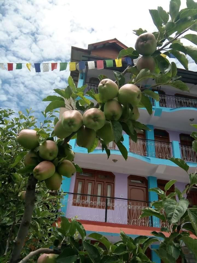 Others 4, Hotel Kailash View, Kalpa, Kinnaur