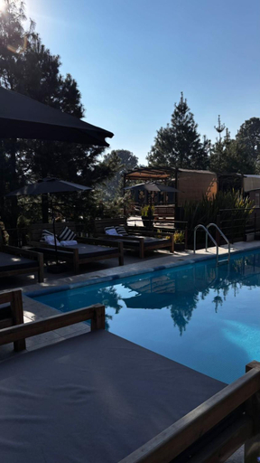 Sport & Beauty 2, Organico Hotel Boutique, Mexico City