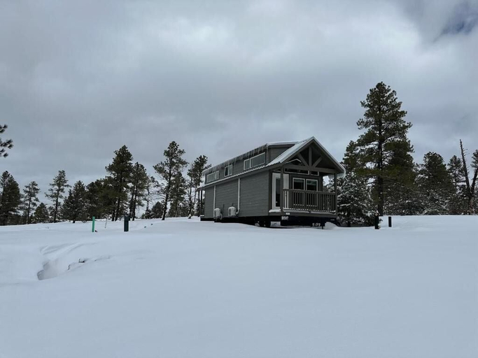 Exterior 2, Luxury Cabin with Forest View 5B, Coconino