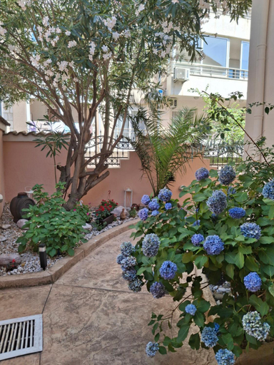Others 3, Apartmani Aleks