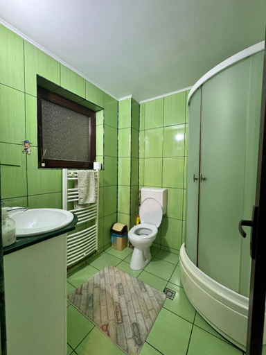 Bathroom 4, Pensiunea Rebeca, Bughea De Sus
