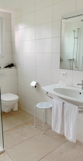 Bathroom 3, Hotel Friedheim, Luzern