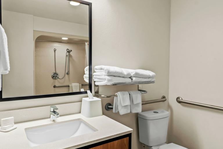 Bathroom 3, Spark by Hilton Lynchburg, Lynchburg