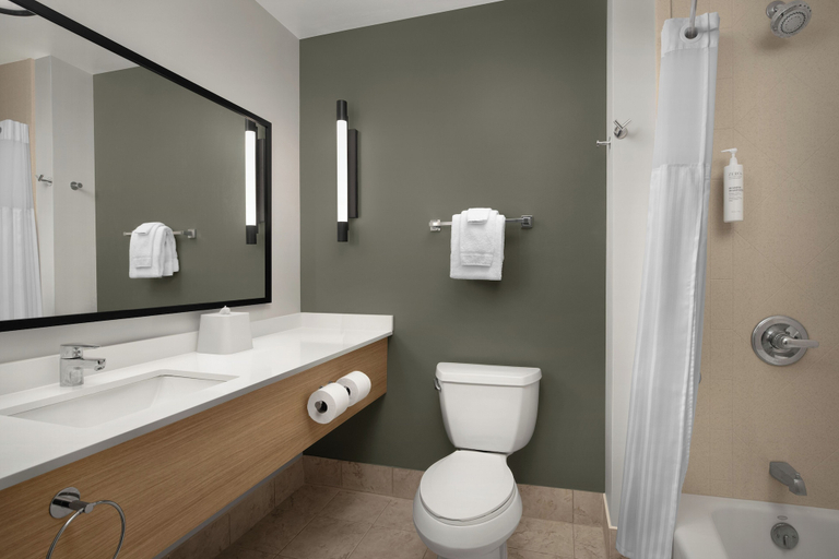 Bathroom 4, Spark by Hilton Vestal Binghamton University Area, Broome