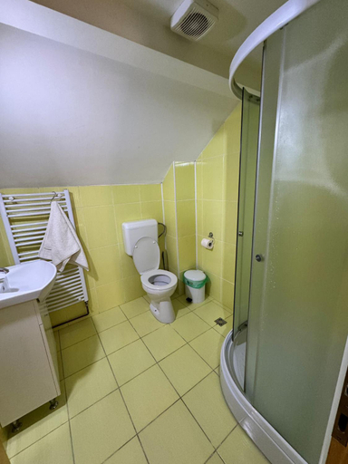 Bathroom 5, Pensiunea Rebeca, Bughea De Sus