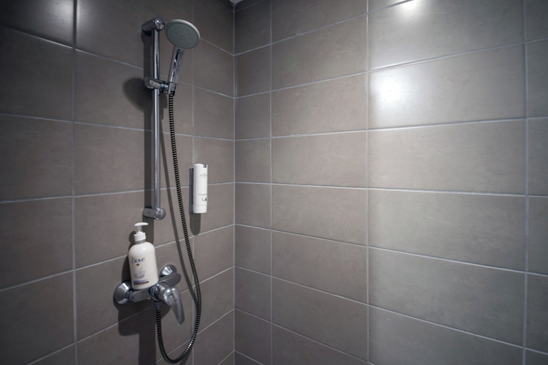 Bathroom 5, Appart du Trident, Haut-Rhin