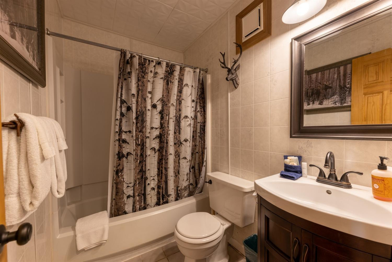 Bathroom 3, Summit 108B 3BR,Sunset views, FreeParking, Pocahontas