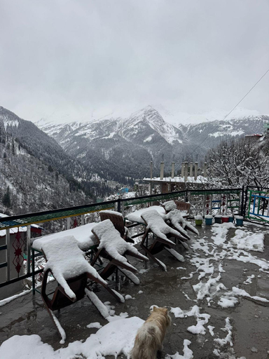 Exterior view 4, Cafe Kush Tosh, Kullu
