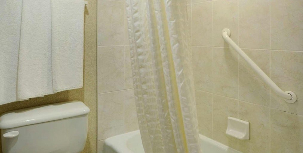 Bathroom, Greenwood Inn and Suites, Division No. 5