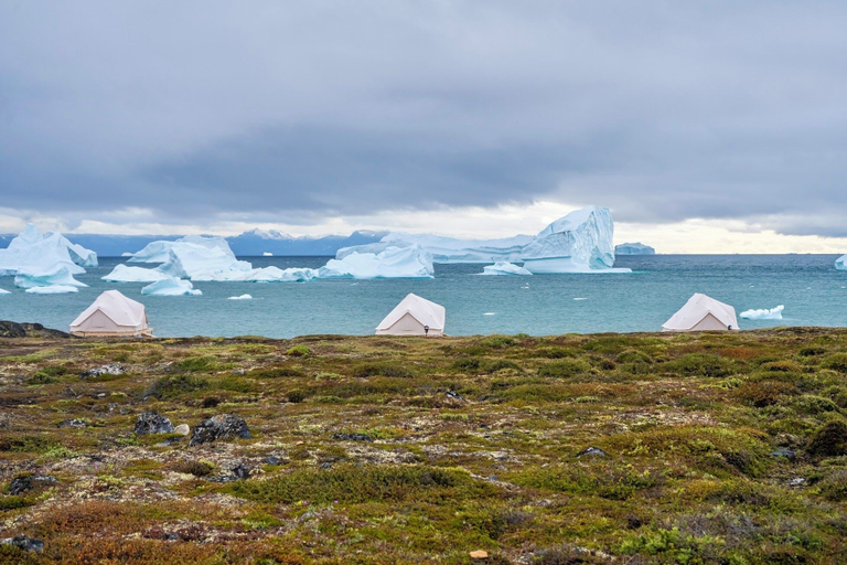 Miscellaneous 4, Nomad Greenland