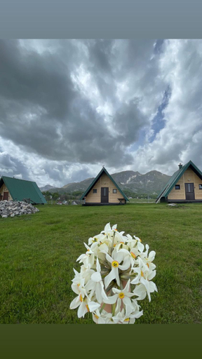 Exterior & Views 5, Mountain peaceful cottages
