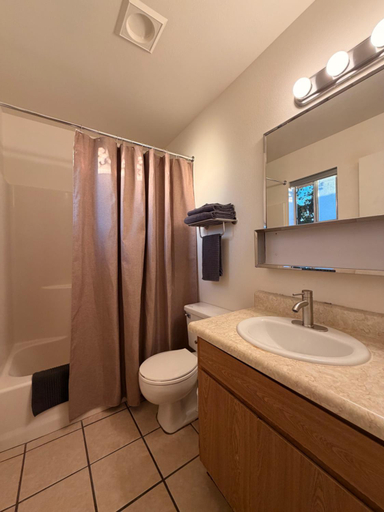 Bathroom 4, Desert Rose Motel, Maricopa