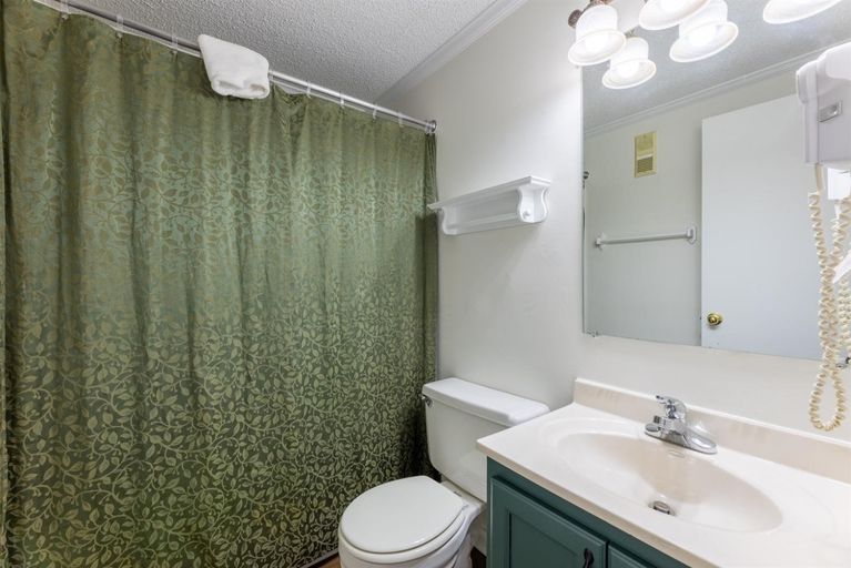 Bathroom 3, ML 294 Ski-InOut Slope Views Steps to Ballhooter Sleeps 6, Pocahontas