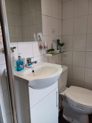 Bathroom 3, Llanwrtyd Hall B&B Angelis Holistic Retreat, Powys