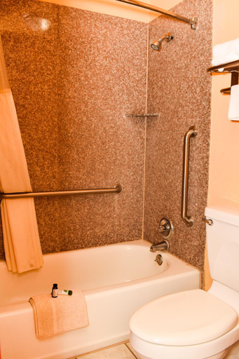 Bathroom 3, Antlers Inn Goliad, Goliad