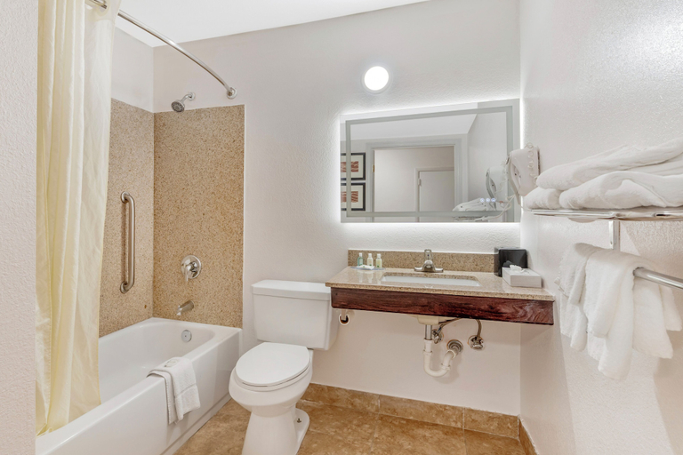 Bathroom 4, Quality Inn & Suites Chattanooga-East Ridge, Hamilton