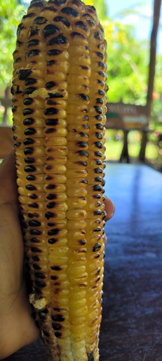 Food & Drinks 5, Hostal Xilotl, Altagracia