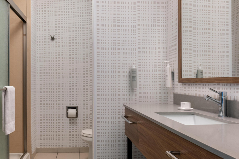 Bathroom 5, Hampton Inn Detroit/Southgate, Wayne