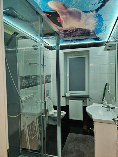 Bathroom 2, Wroclaw Tanie Noclegi, Środa Śląska