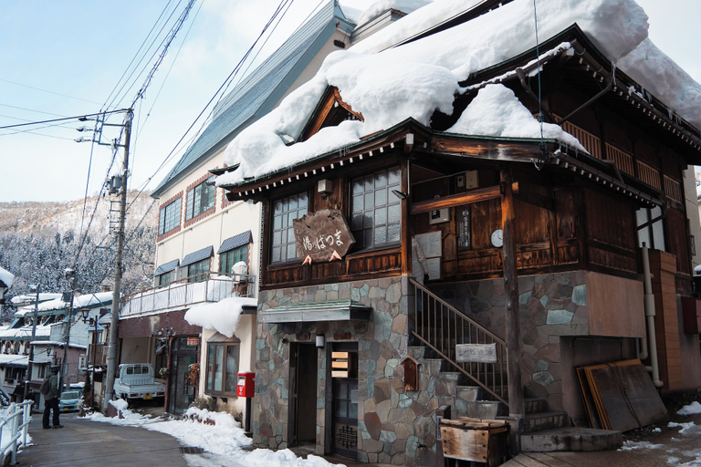 Exterior 4, Kogawa House, Nozawaonsen