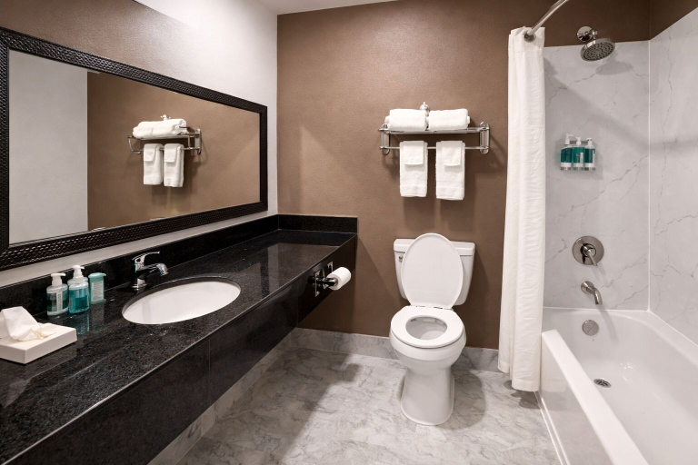 Bathroom 4, Comfort Inn & Suites Texas City I-45, Galveston