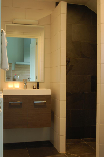 Bathroom 2, B&B Roodbeekerhof, Roerdalen