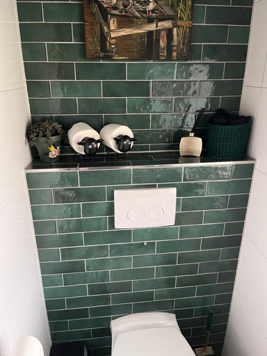 Bathroom 2, t Dinxken, Dinxperlo