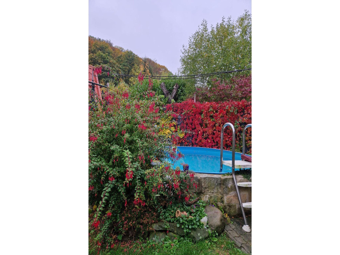 Others 4, Gemutliches Ferienhaus mit Pool in Blankenburg, Harz