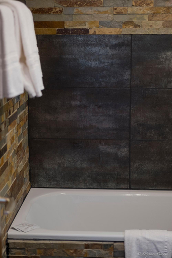Bathroom 2, Hotel de la Truite - Vallee de Joux, Jura-North Vaudois
