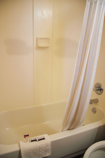 Bathroom 4, The Perrysburg Budget Inn, Wood