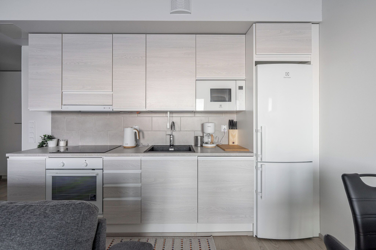 Private kitchen, Spacious 1BR Apt. Next to Lake Näsijärvi, Pirkanmaa
