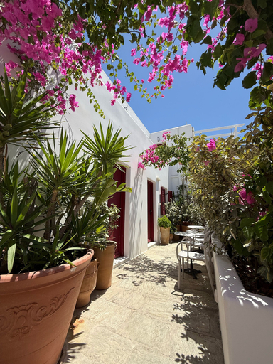 Exterior & Views 2, 23 Hotel Mykonos, South Aegean