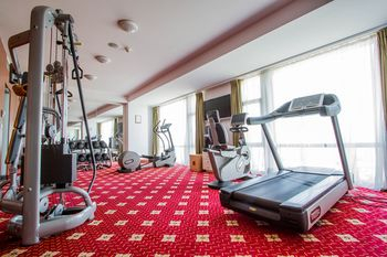 Others 4, Hotel HP Tower One Brasov, Brasov