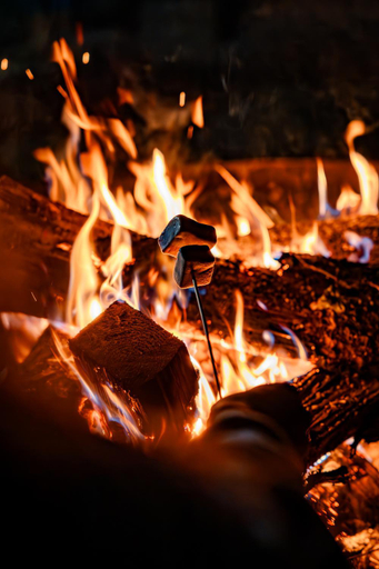 Food & Drinks 5, Greenfields Glamping Durbuy, Luxembourg