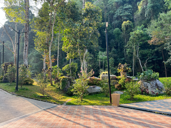 Others 5, La Wong Creek at Pang Hi, Doi Saket