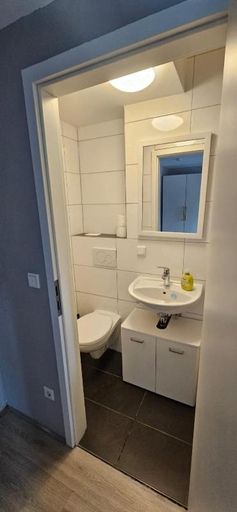 Bathroom 5, Pension Raunheim, Groß-Gerau