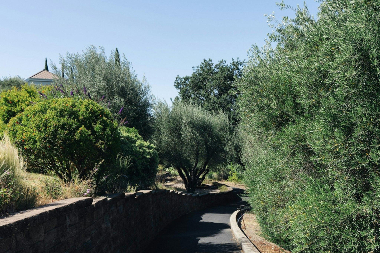 Others 5, Le Petit Pali St Helena, Napa