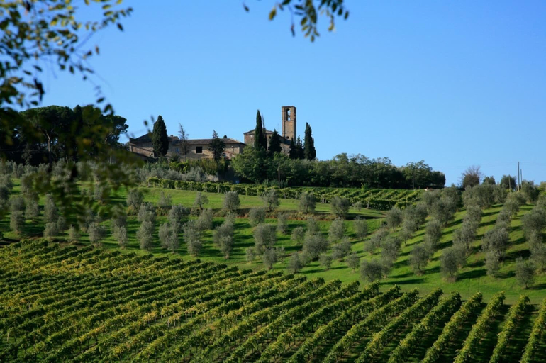 Room 5, Paterno 404 in San Gimignano, Siena