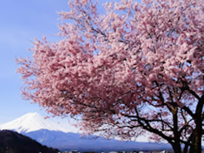 Others 5, Shoji Mount Hotel - Vacation STAY 82979v, Fujikawaguchiko
