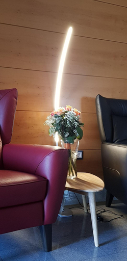 Public Area 2, Guesthouse Kolinska - Adults only, Bled