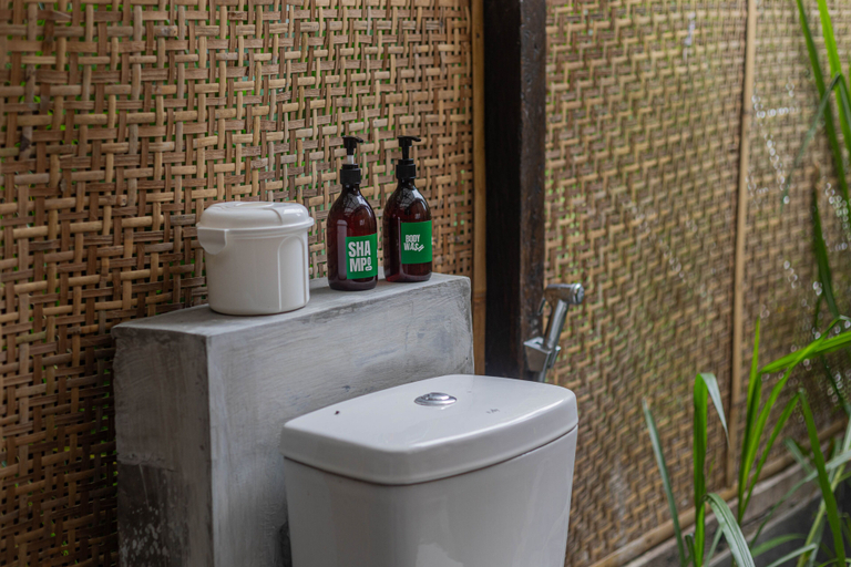 Bathroom 3, Calidas Hill, Bangli