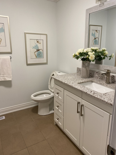 Bathroom 3, HomeNets, Toronto