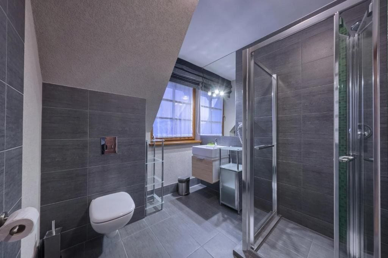 Bathroom 3, Silverton, Tatra