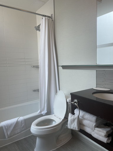 Bathroom 2, The Herald Hotel by LuxUrban, New York