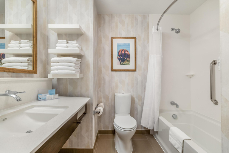 Bathroom 5, Hampton Inn & Suites Dallas/Plano-East, Collin