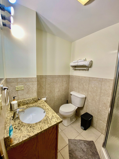 Bathroom 5, Historic Charm in Downtown Chicago, Cook