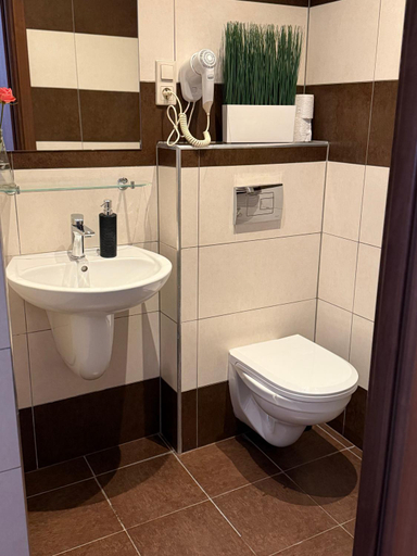 Bathroom 2, Dolnoslaski, Ząbkowice