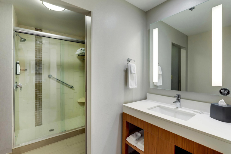Bathroom 4, Hyatt Place St. Louis/Chesterfield, Saint Louis