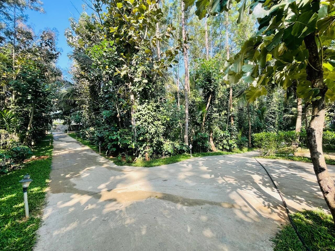 Miscellaneous, Blue Lagoon Inn Resort, Mysore