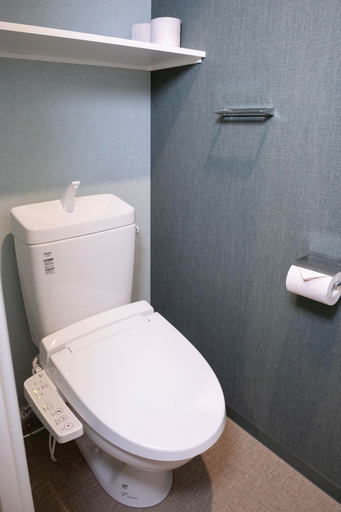 Bathroom 4, The Peak Bentencho, Osaka